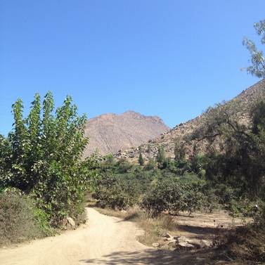 Photo of pathway in Peru