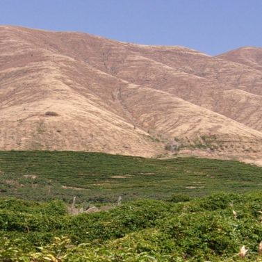 Montagnes péruviennes