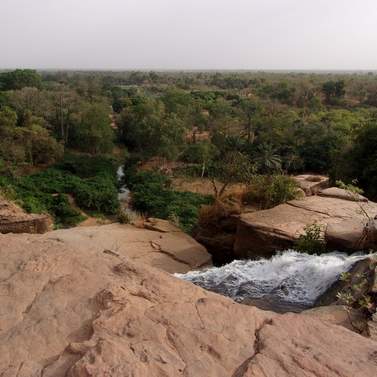 Filière Afrique