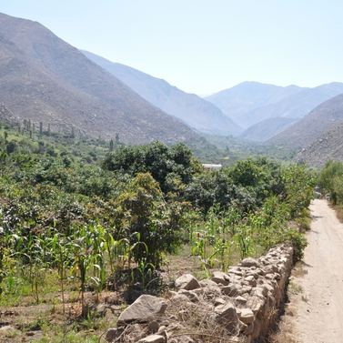 Chemin entre les montagnes au Pérou