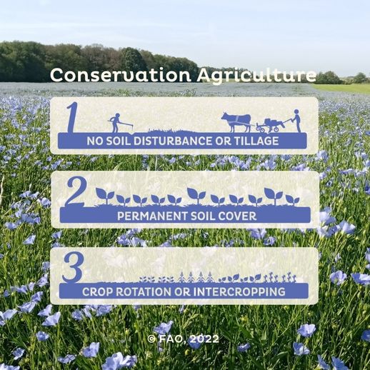 Principes de l'agriculture de conservation des sols