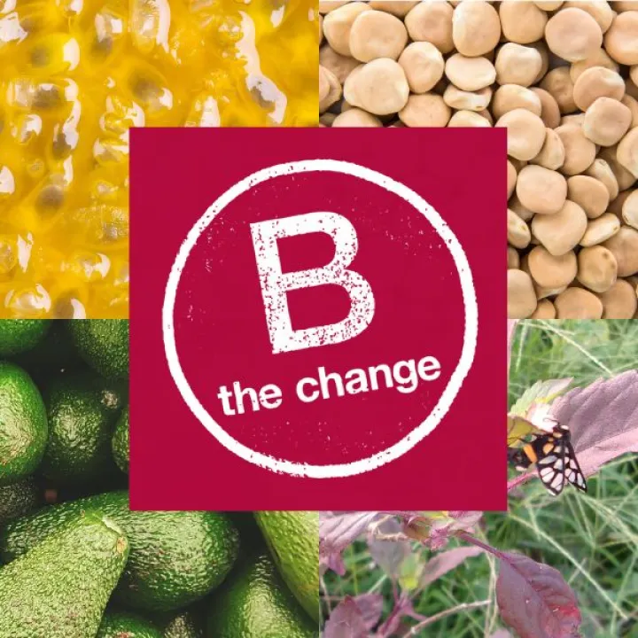 B the change 