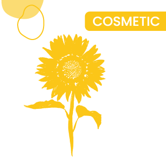 tournesols
