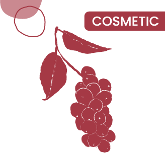 schisandra