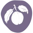 picto_prune