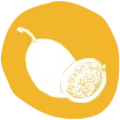 picto_maracuja