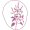 Basilic sacré_Nutra