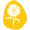 picto_tournesol