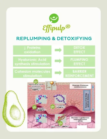 Concept de Effipulp®