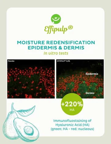 Résultats invitro de Effipulp®
