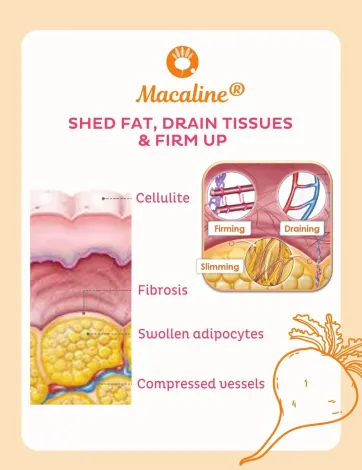 Concept de Macaline®