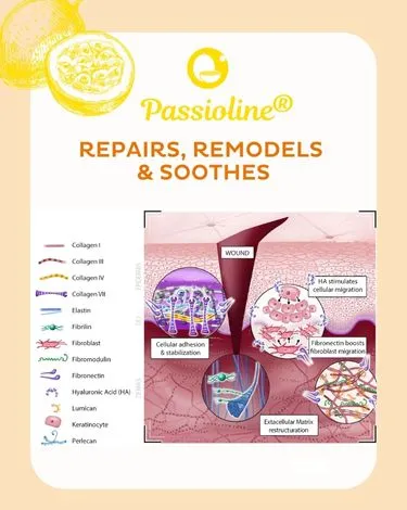 Concept de Passioline®