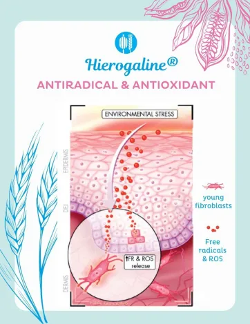 Concept de Hierogaline®