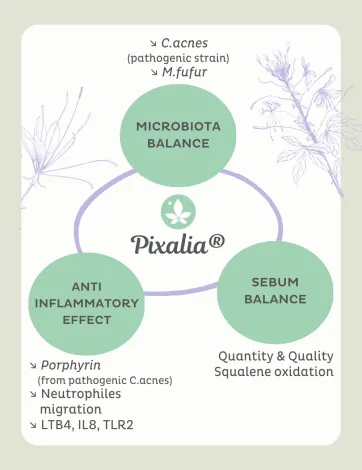 Concept de Pixalia®