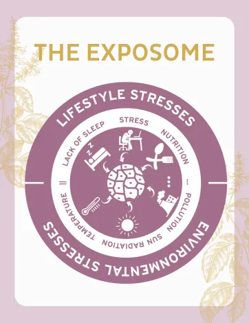 Explication de l'exposome