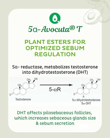 5αAvocuta® T concept of ingredient