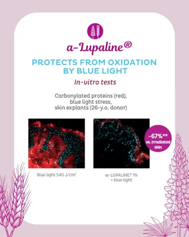 α-Lupaline® résultats in vitro lumière bleu