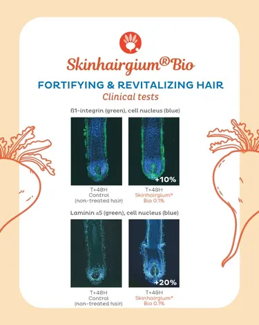 Skinhairgium® Bio résultats cliniques sur cheveux