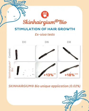 Skinhairgium® Bio résultats ex-vivo sur cheveux