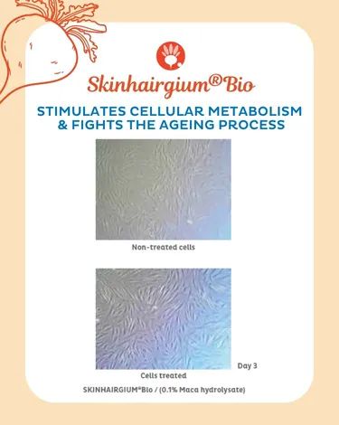 Skinhairgium® Bio concept pour la peau