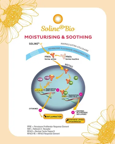 Soline® Bio concept
