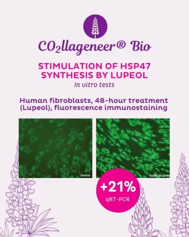 CO2llageneer® Bio* tests in vitro