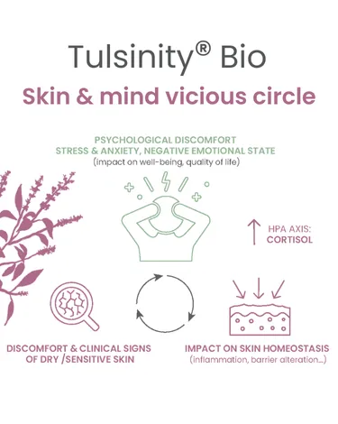 cercle vicieux peau &amp; cerveux