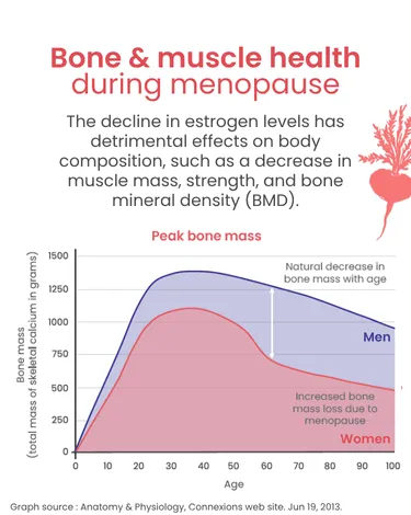 Bone & muscle health during menopause