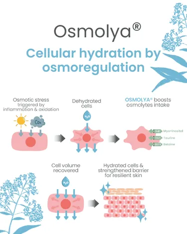 Osmolya for cellular hydration by osmoregulation